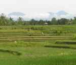 Bali countryside
