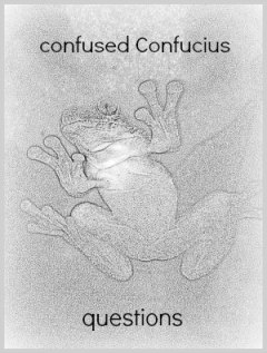 confused confucius questions
