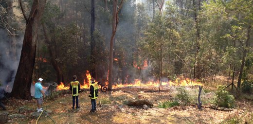 Bushfire-Banjo-Place-01