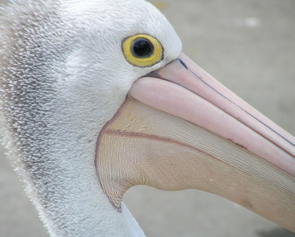 And we’re back And we’re back