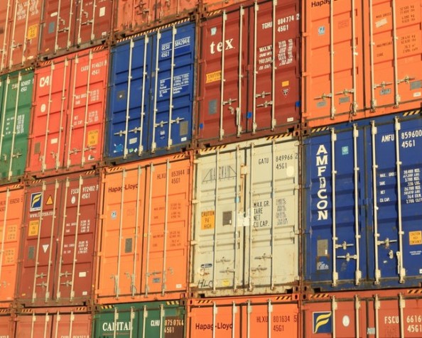 What happens if democracy&nbsp;dies