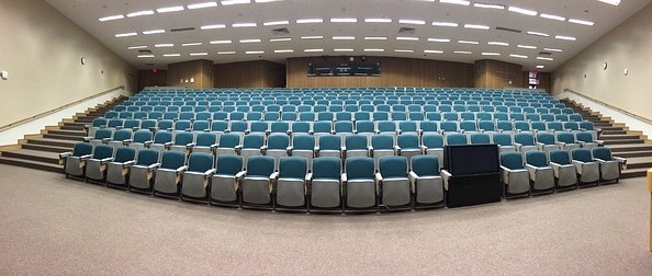 Little gem – more hopeful Little gem – more hopeful