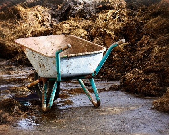 You don’t know&nbsp;shit