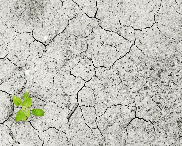 What to do about&nbsp;drought