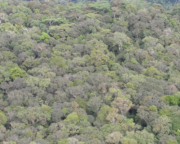 Why do landscapes excite you so&nbsp;much?