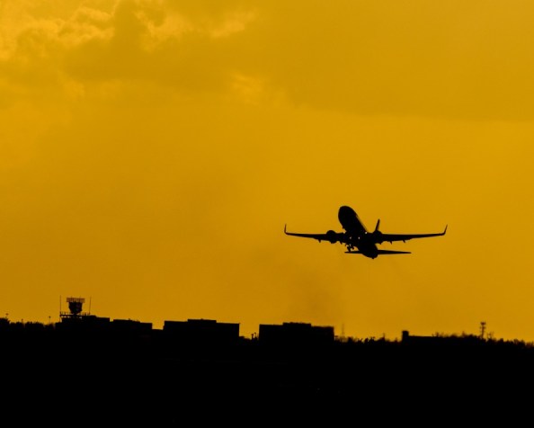 Density and competition