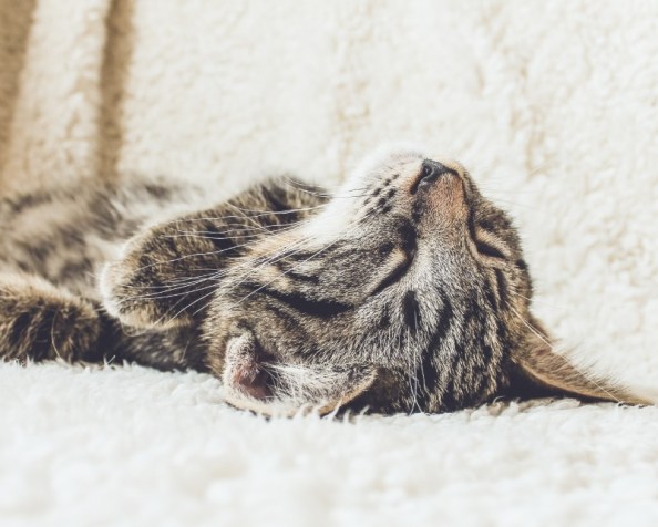 Nobody knows because we are&nbsp;lazy