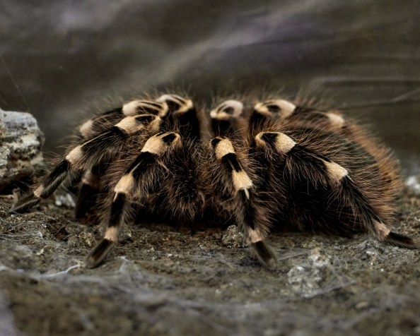 What it means to have more people in the&nbsp;world