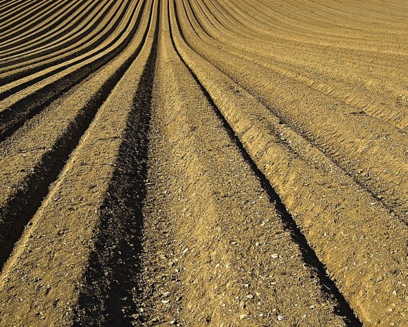 Why do we bury the important&nbsp;stuff?