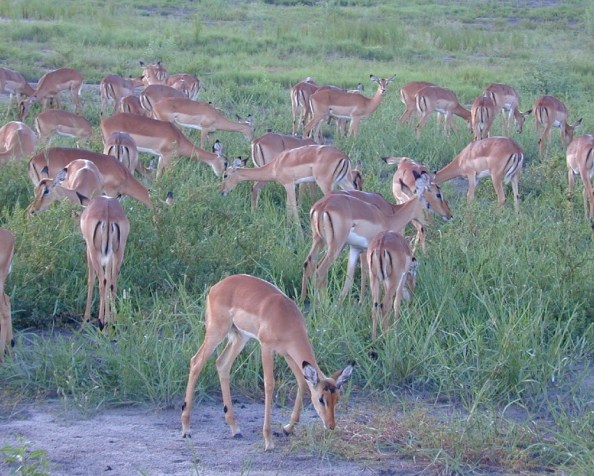 Where do you come&nbsp;from?