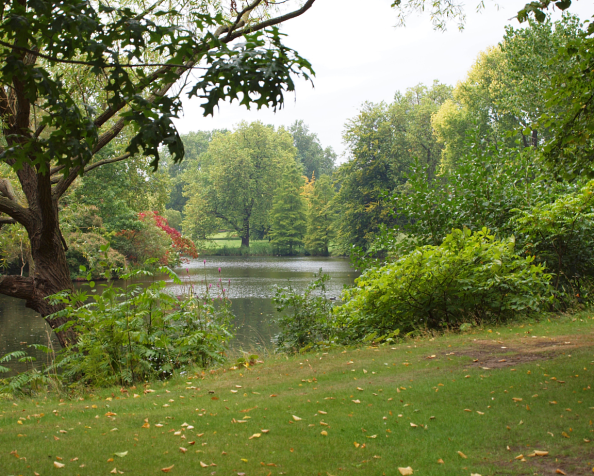 Never leave a number&nbsp;alone