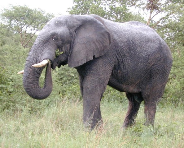 Sense of humour&nbsp;failure