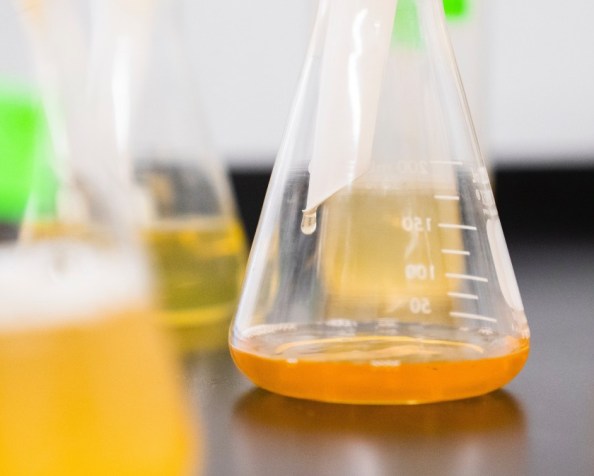 The risks of normative&nbsp;science