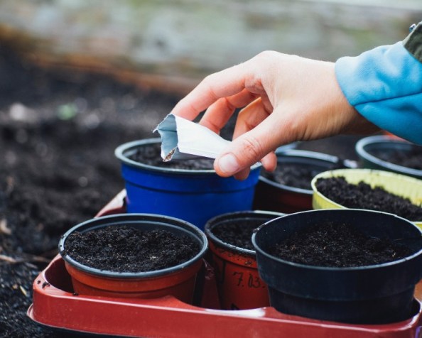 Should a country be self-sufficient?