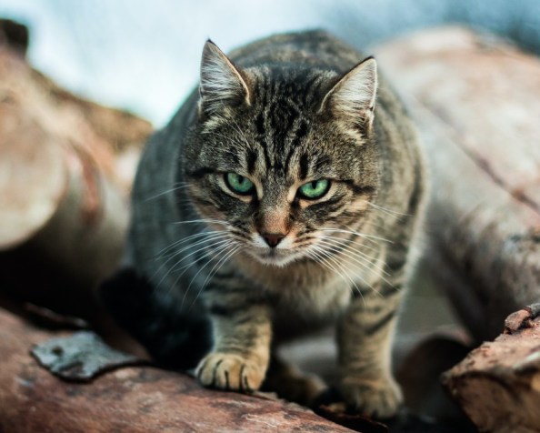 Always put a number into&nbsp;context