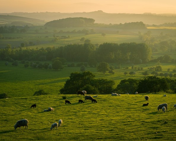 Where will people live in the&nbsp;future?